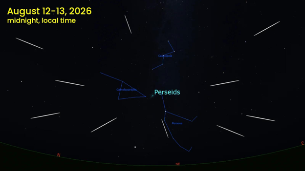 Perseid Meteor Shower
